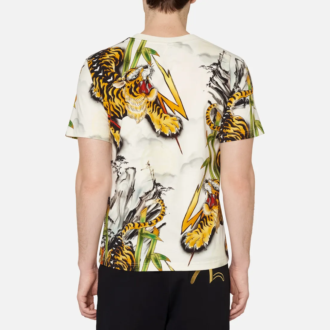 Evisu Мужская футболка Evergreen Tiger Landscape All Over Printed