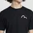 Evisu