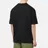 Lacoste Live