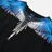 Marcelo Burlon