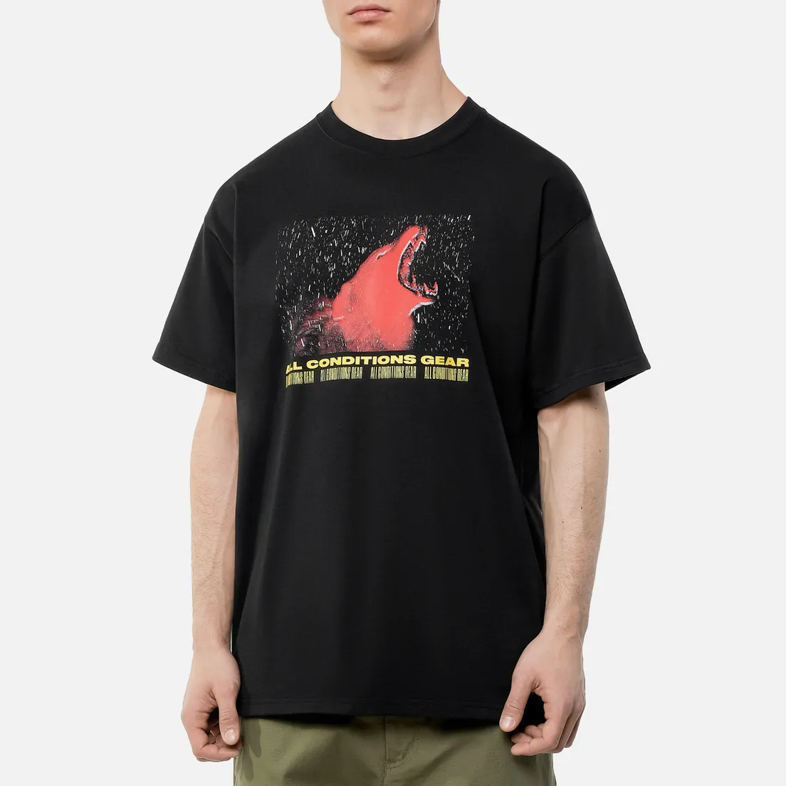 Nike Мужская футболка ACG NRG Wolf