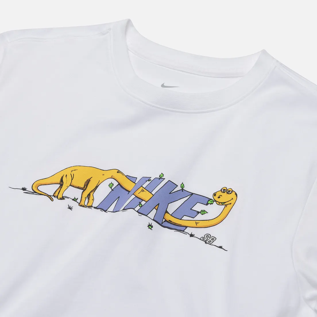 Nike SB Мужская футболка Dinonike