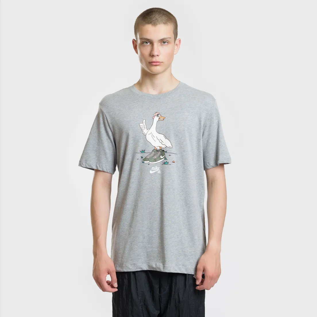 Nike SB Мужская футболка Goose