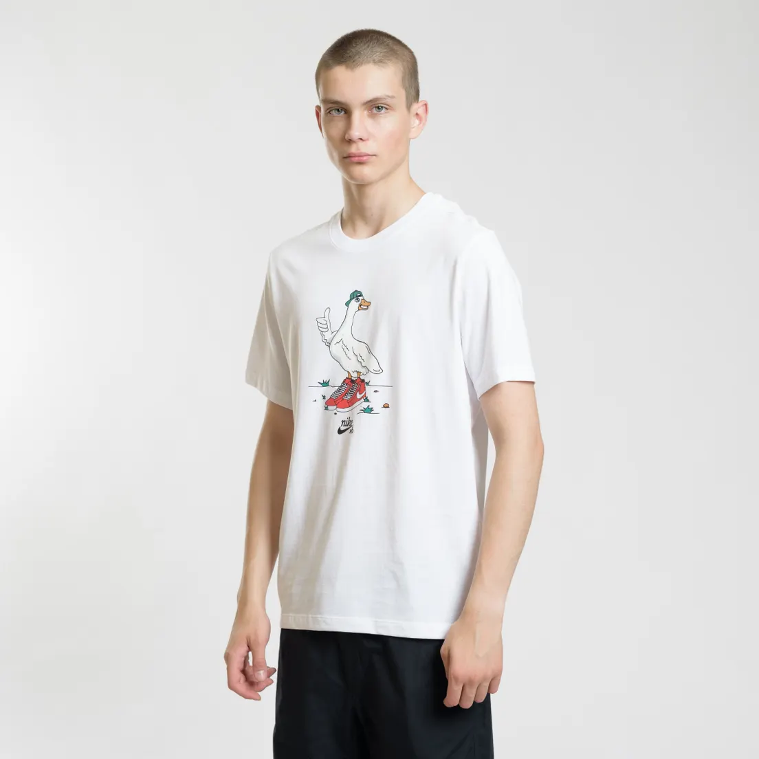 Nike SB Мужская футболка Goose