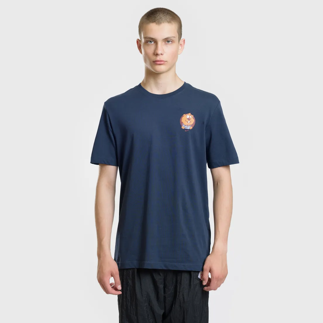 Nike SB Мужская футболка Gopher