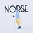 Norse Projects