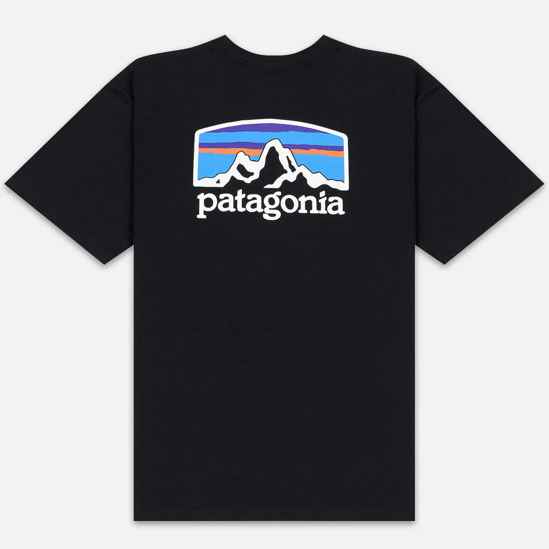 Patagonia Мужская футболка Fitz Roy Horizons