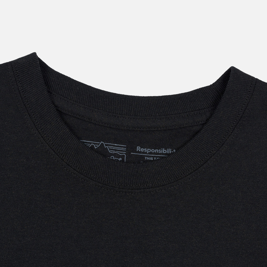 Мужская футболка Patagonia Fitz Roy Horizons Black