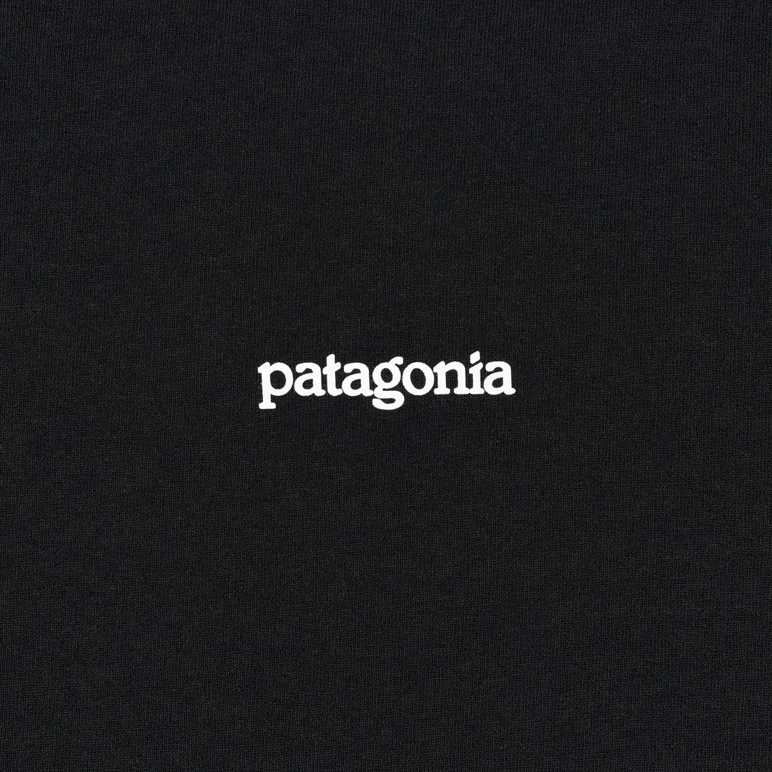 Patagonia Мужская футболка Fitz Roy Horizons
