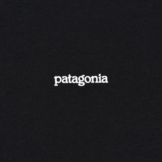 Мужская футболка Patagonia Fitz Roy Horizons Black
