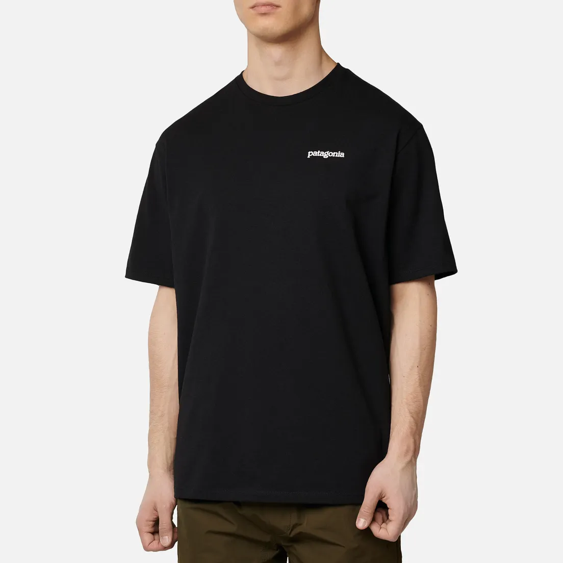Patagonia Мужская футболка Fitz Roy Horizons Logo