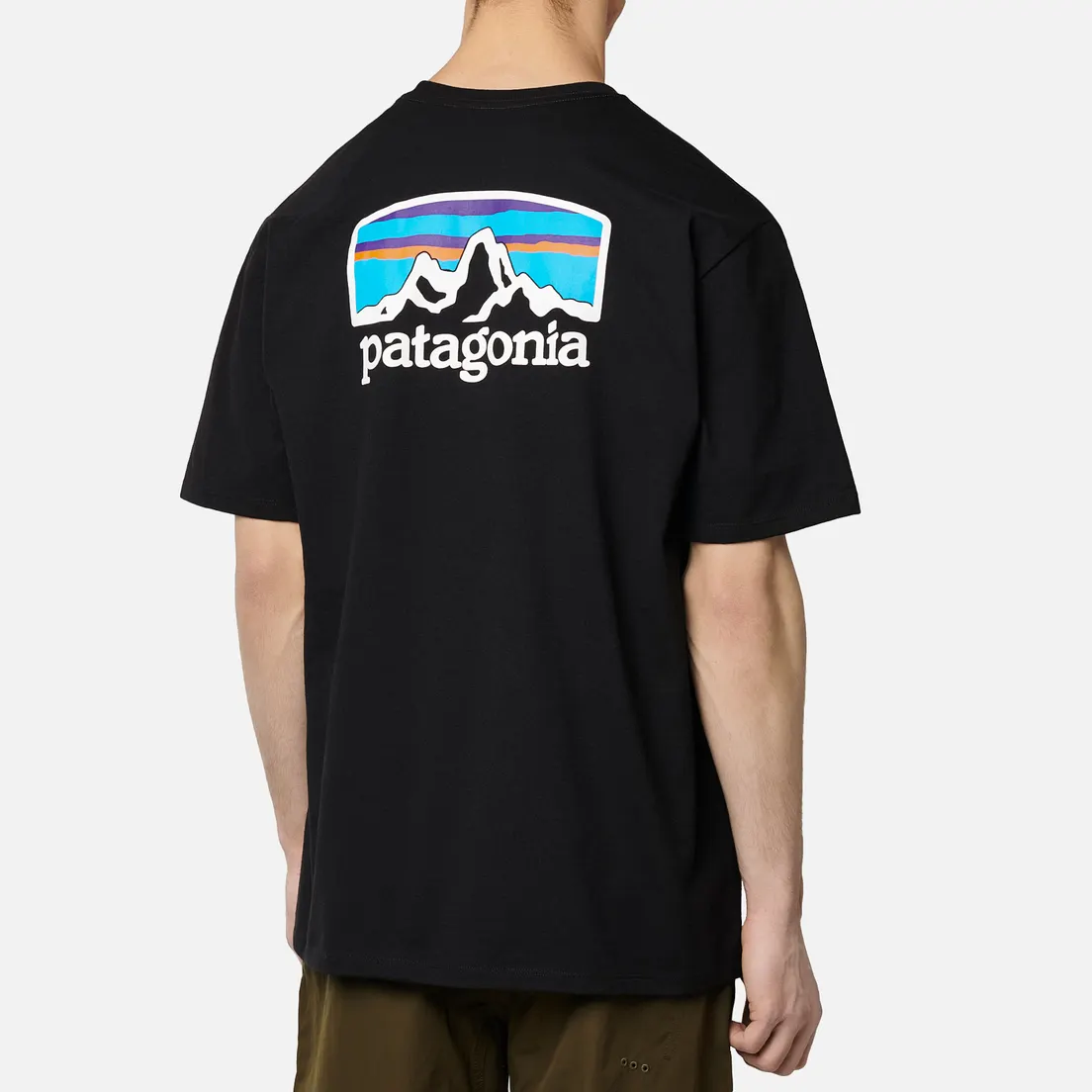 Patagonia Мужская футболка Fitz Roy Horizons Logo