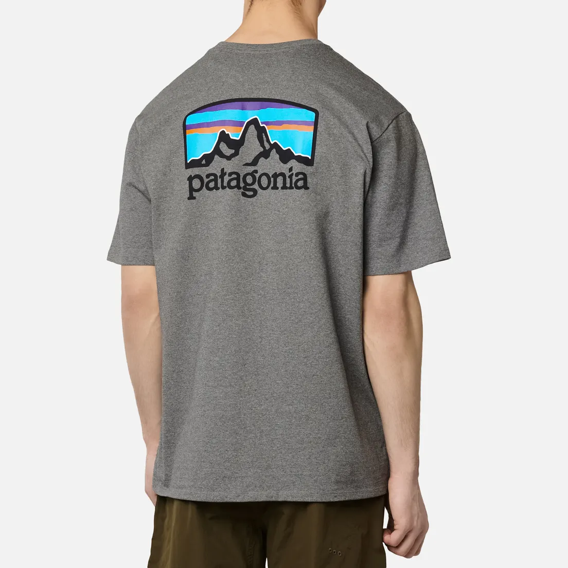 Patagonia Мужская футболка Fitz Roy Horizons Logo