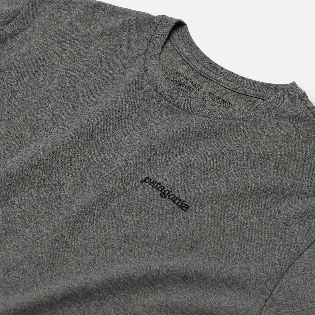 Patagonia Мужская футболка Fitz Roy Horizons Logo
