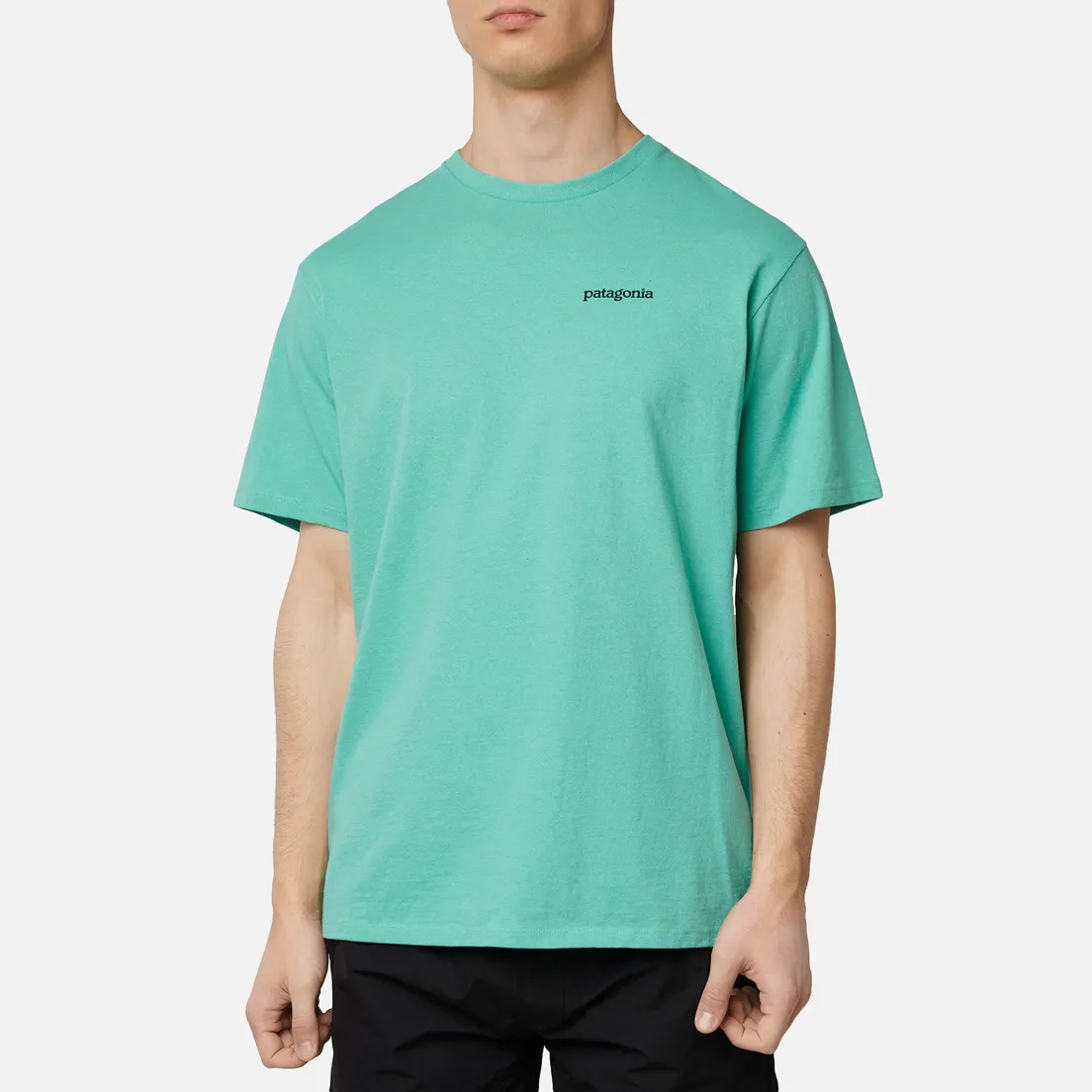 Patagonia Мужская футболка Fitz Roy Horizons Logo