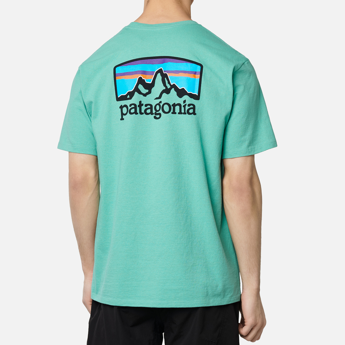 Patagonia Мужская футболка Fitz Roy Horizons Logo