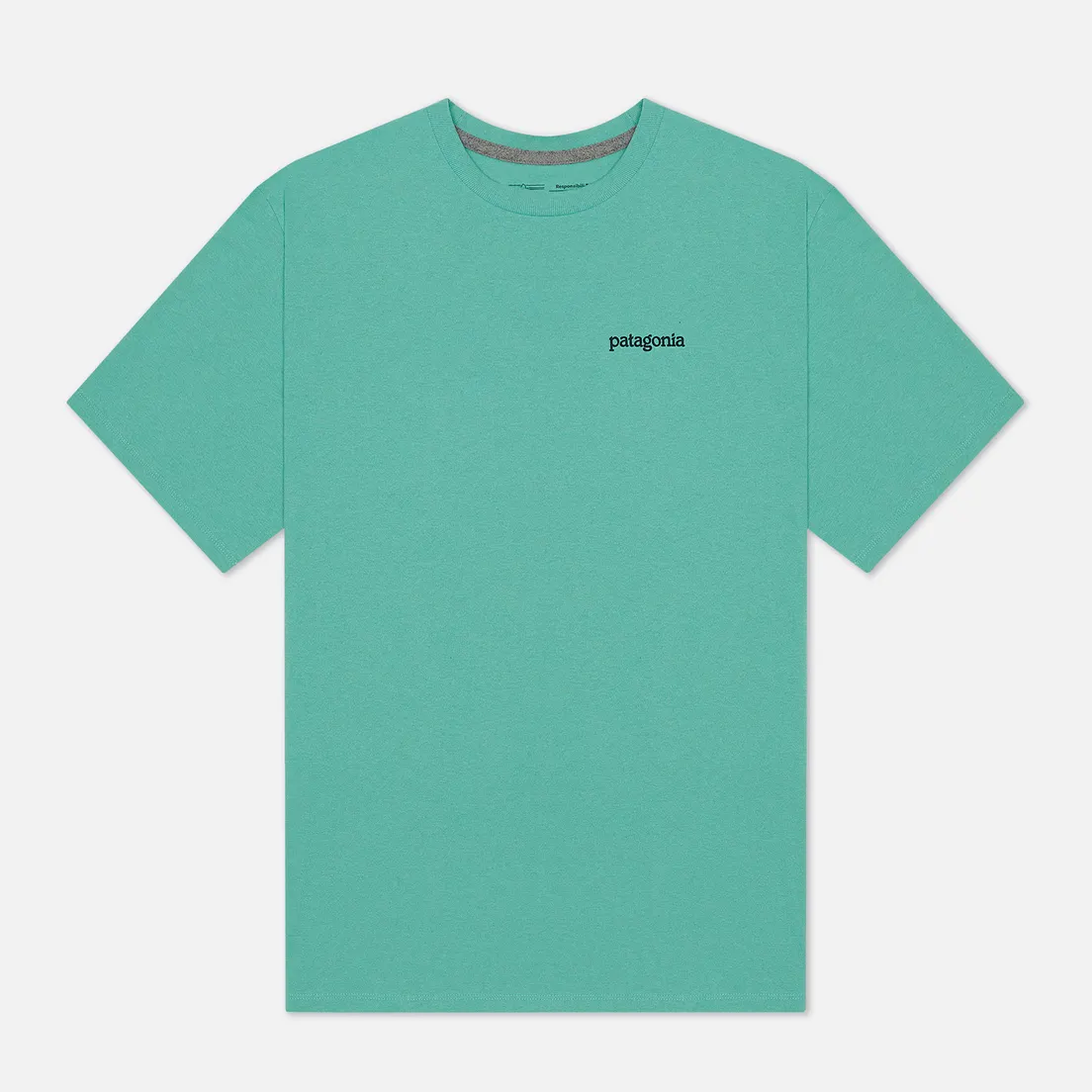 Patagonia Мужская футболка Fitz Roy Horizons Logo