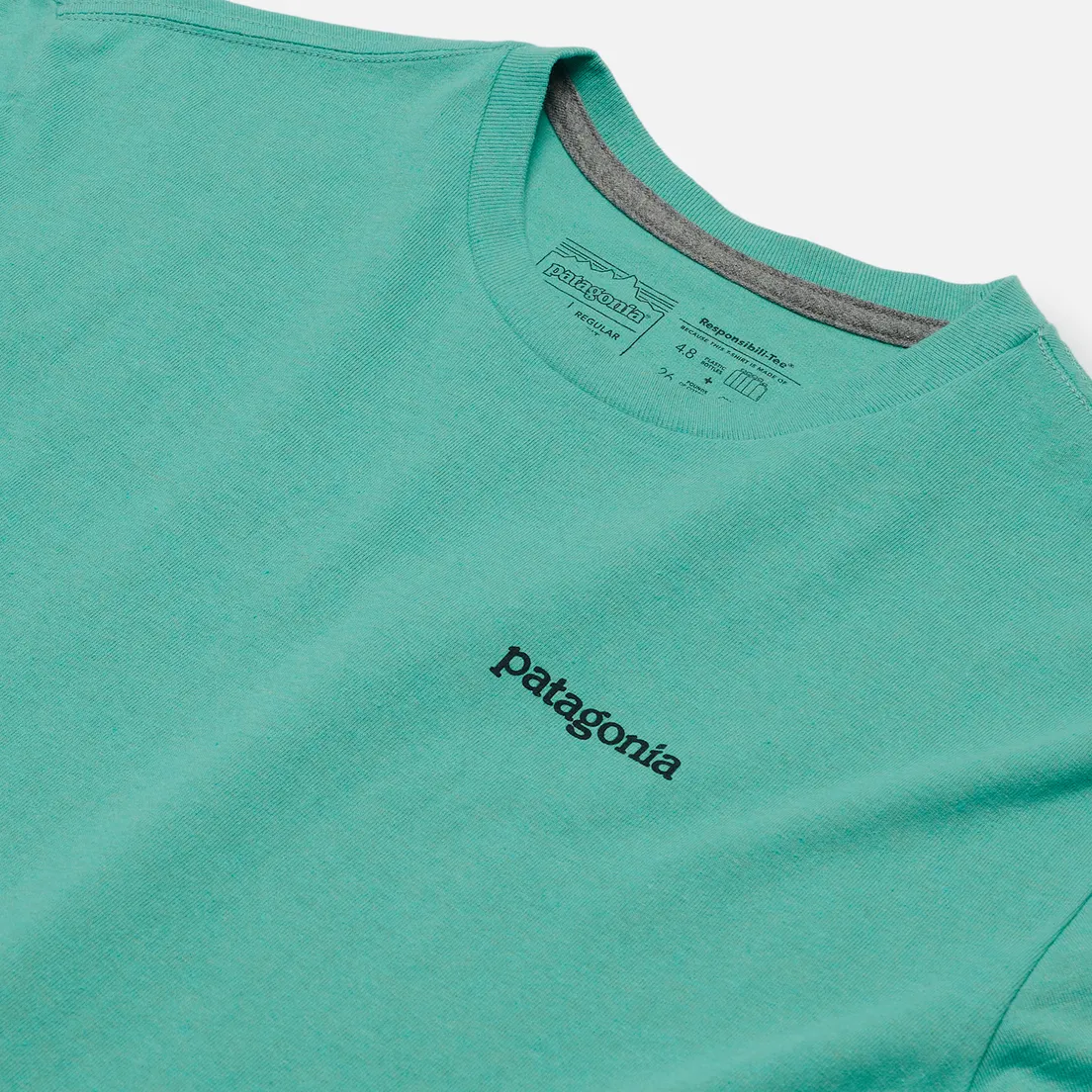 Patagonia Мужская футболка Fitz Roy Horizons Logo