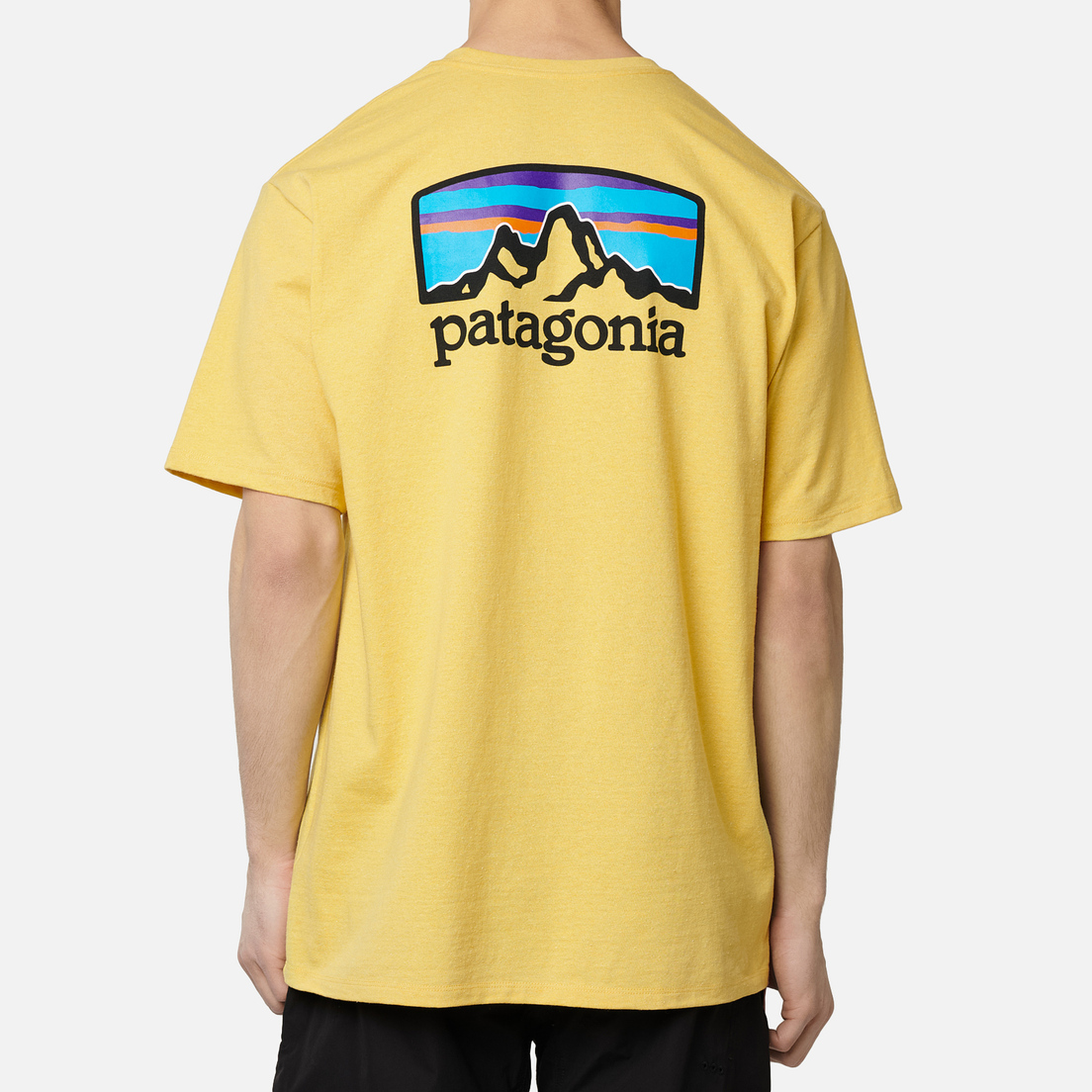 Patagonia Мужская футболка Fitz Roy Horizons Logo