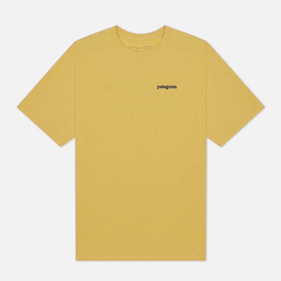 Patagonia Мужская футболка Fitz Roy Horizons Logo