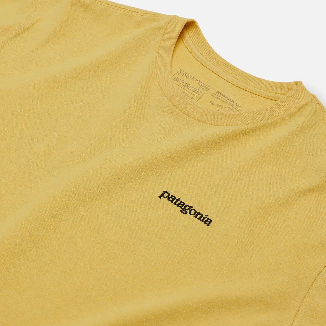 Patagonia Мужская футболка Fitz Roy Horizons Logo