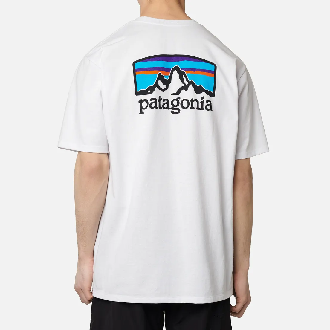 Patagonia Мужская футболка Fitz Roy Horizons Logo