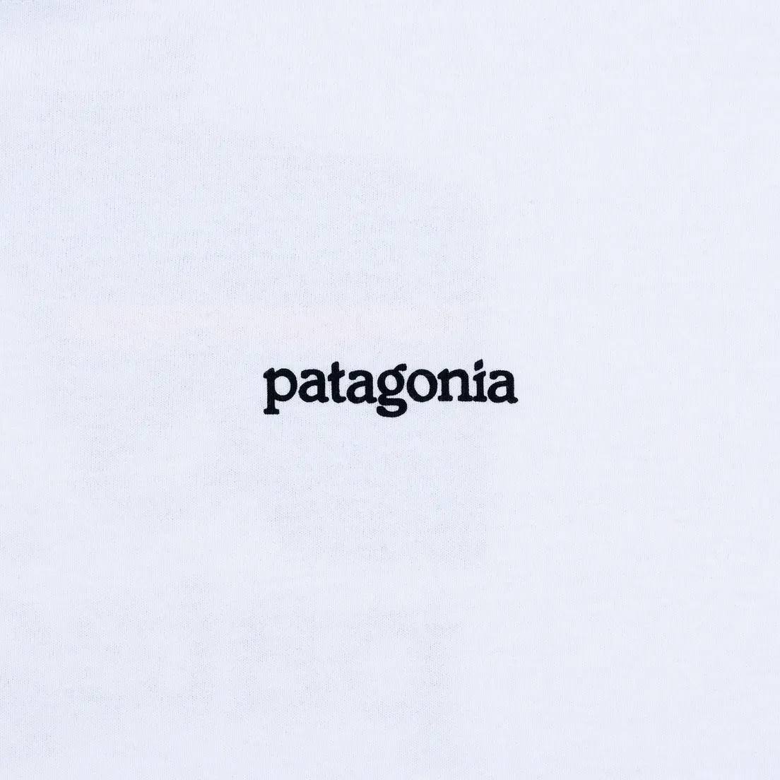 Patagonia Мужская футболка Fitz Roy Horizons