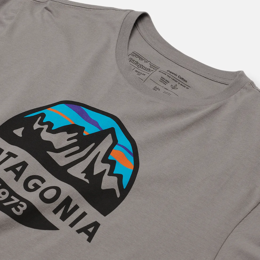 Patagonia Мужская футболка Fitz Roy Scope Organic