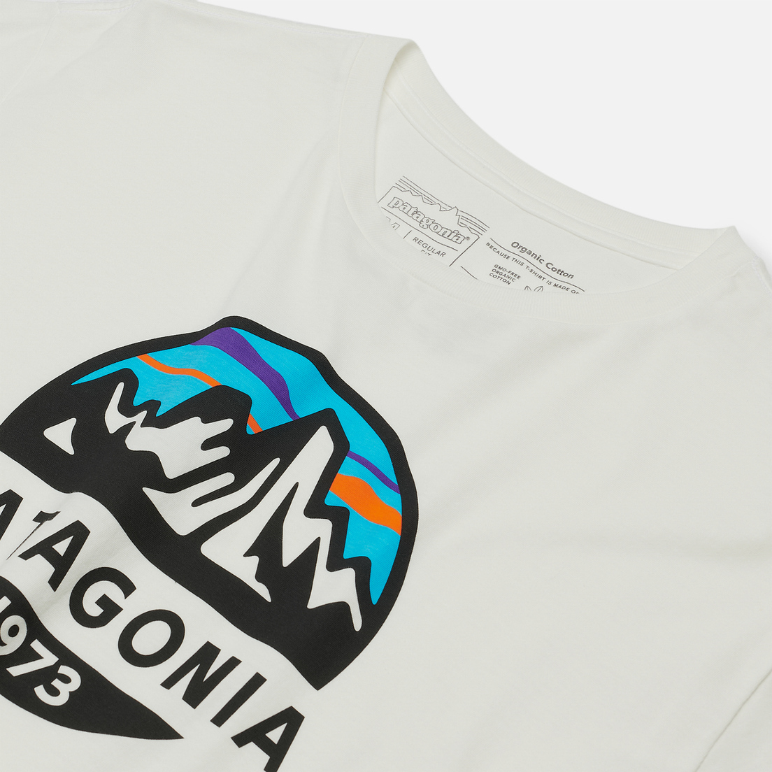 Patagonia Мужская футболка Fitz Roy Scope Organic