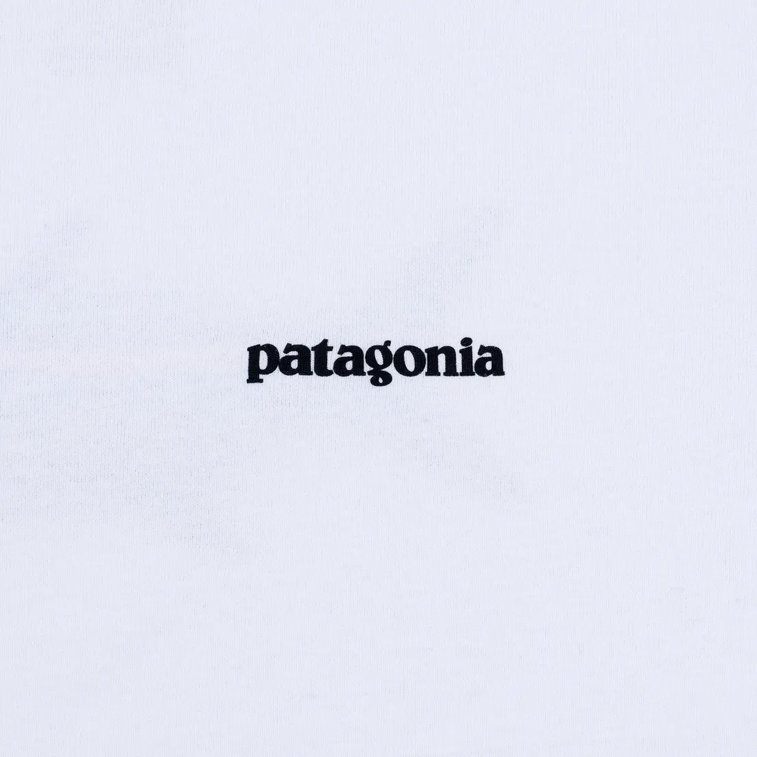 Patagonia Мужская футболка Fitz Roy Tarpon