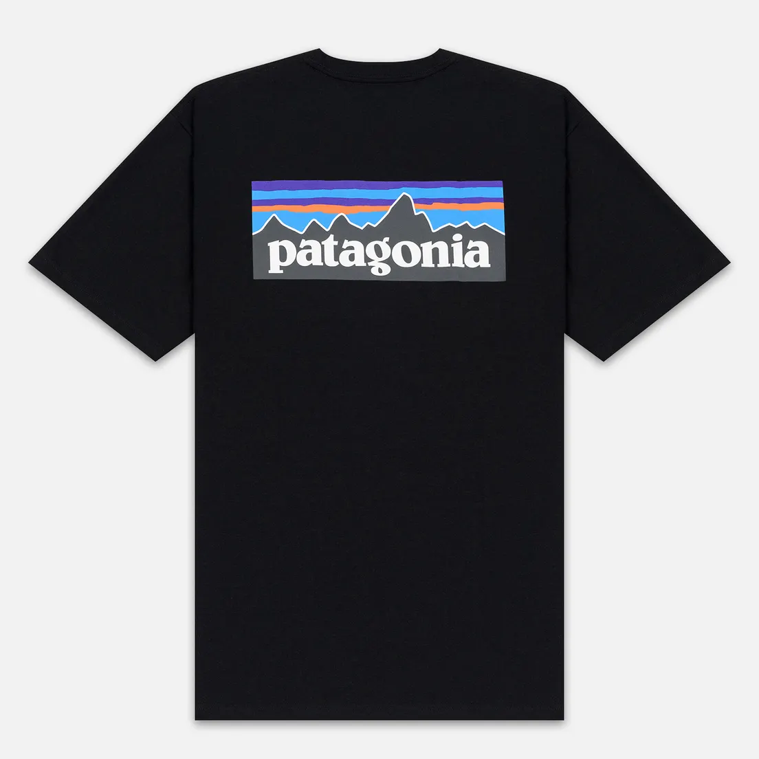Patagonia Мужская футболка P-6 Logo
