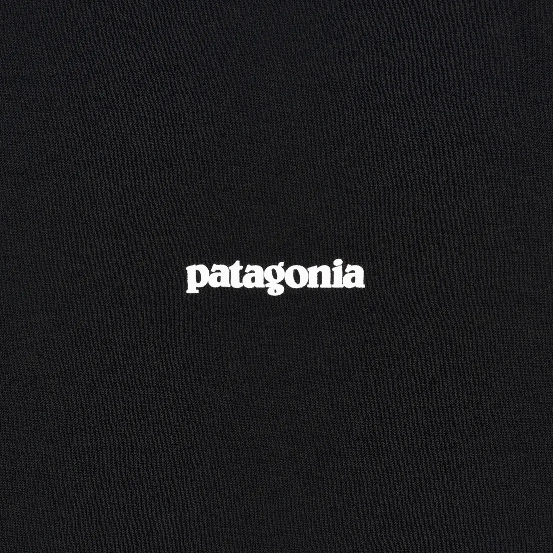 Patagonia Мужская футболка P-6 Logo