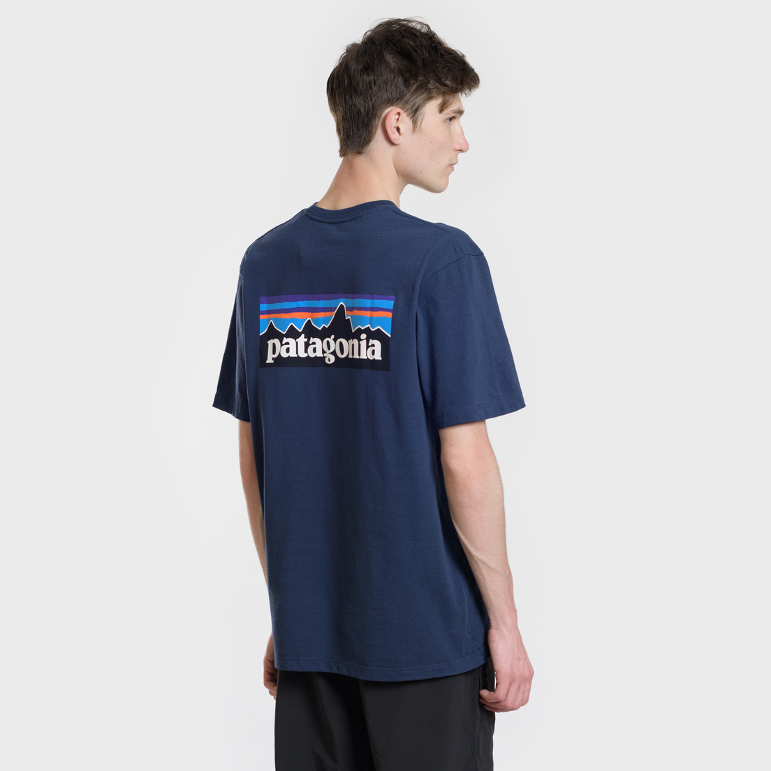 Patagonia Мужская футболка P-6 Logo Classic