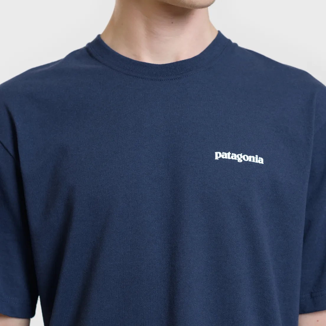 Patagonia Мужская футболка P-6 Logo Classic