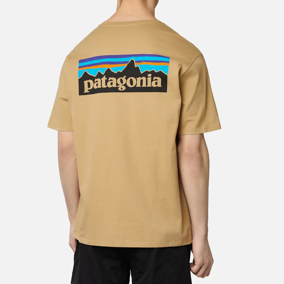 Patagonia Мужская футболка P-6 Logo Organic