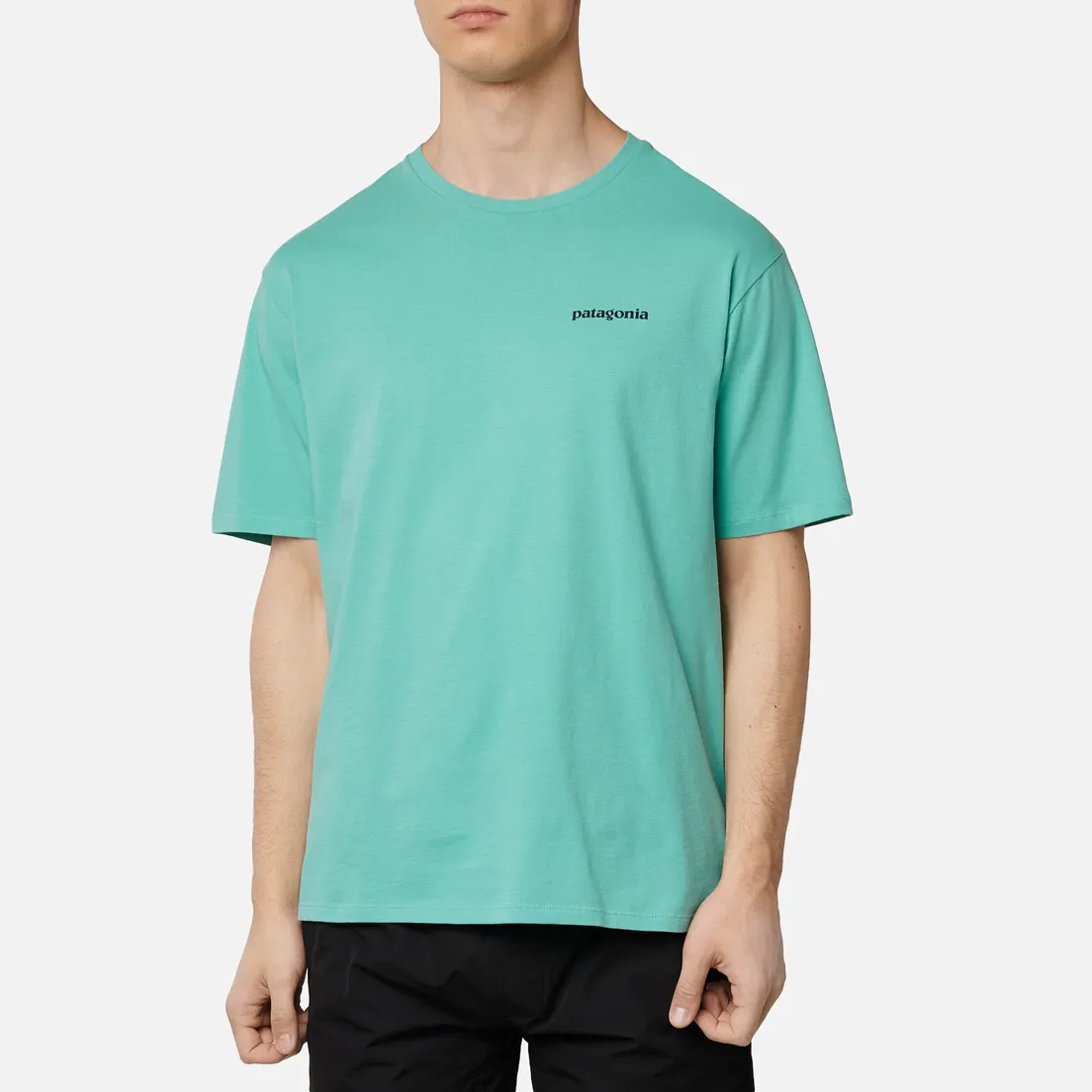 Patagonia Мужская футболка P-6 Logo Organic