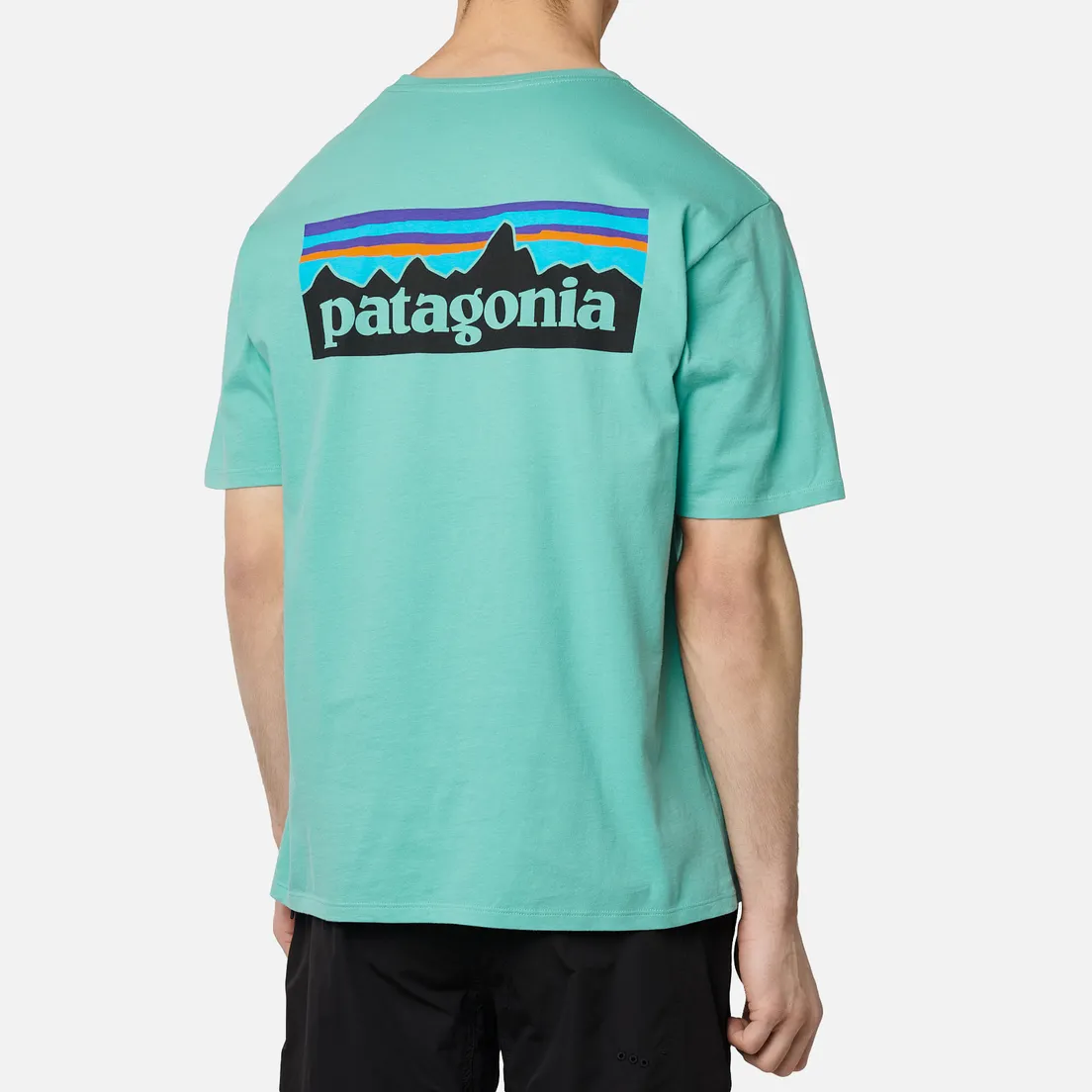 Patagonia Мужская футболка P-6 Logo Organic