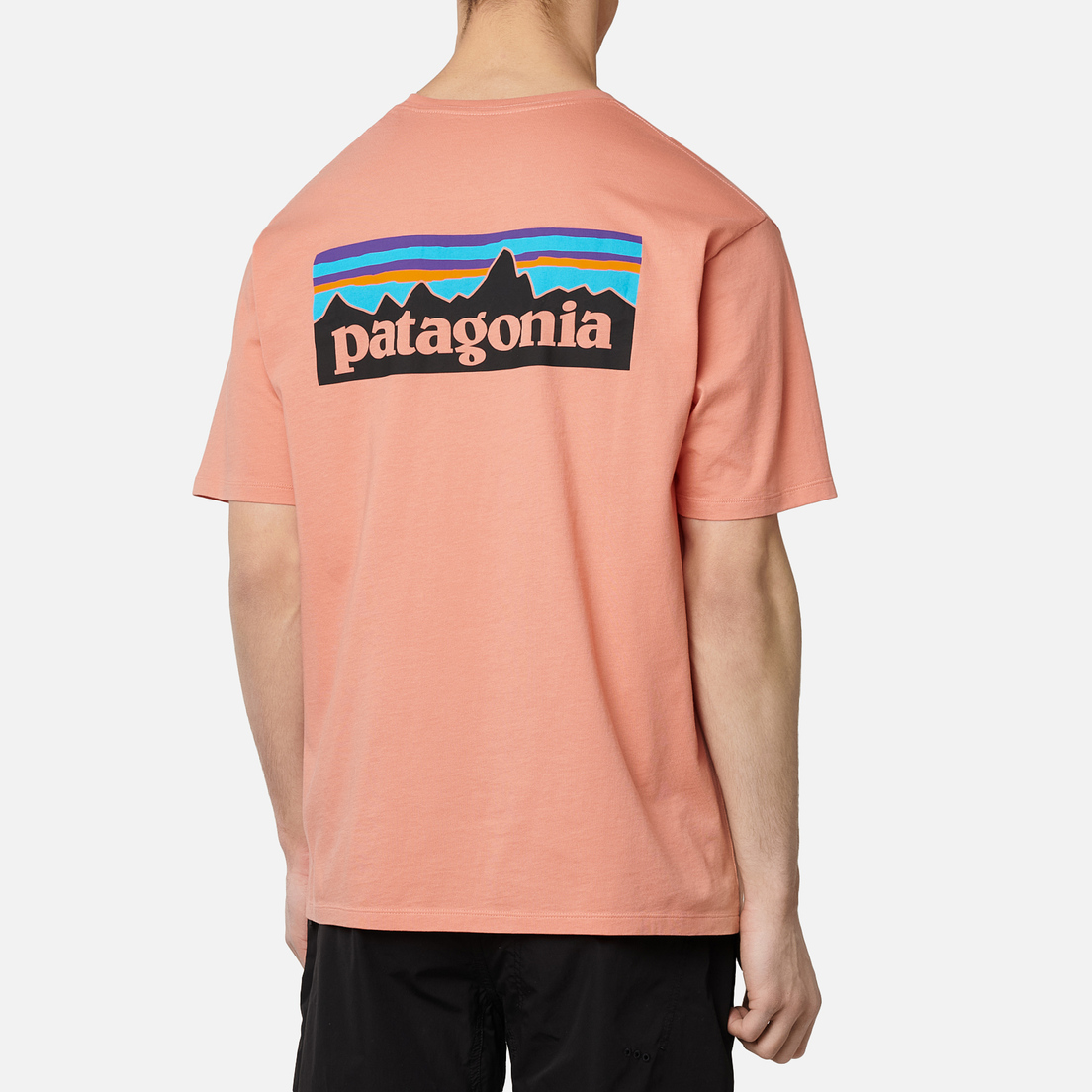 Patagonia Мужская футболка P-6 Logo Organic