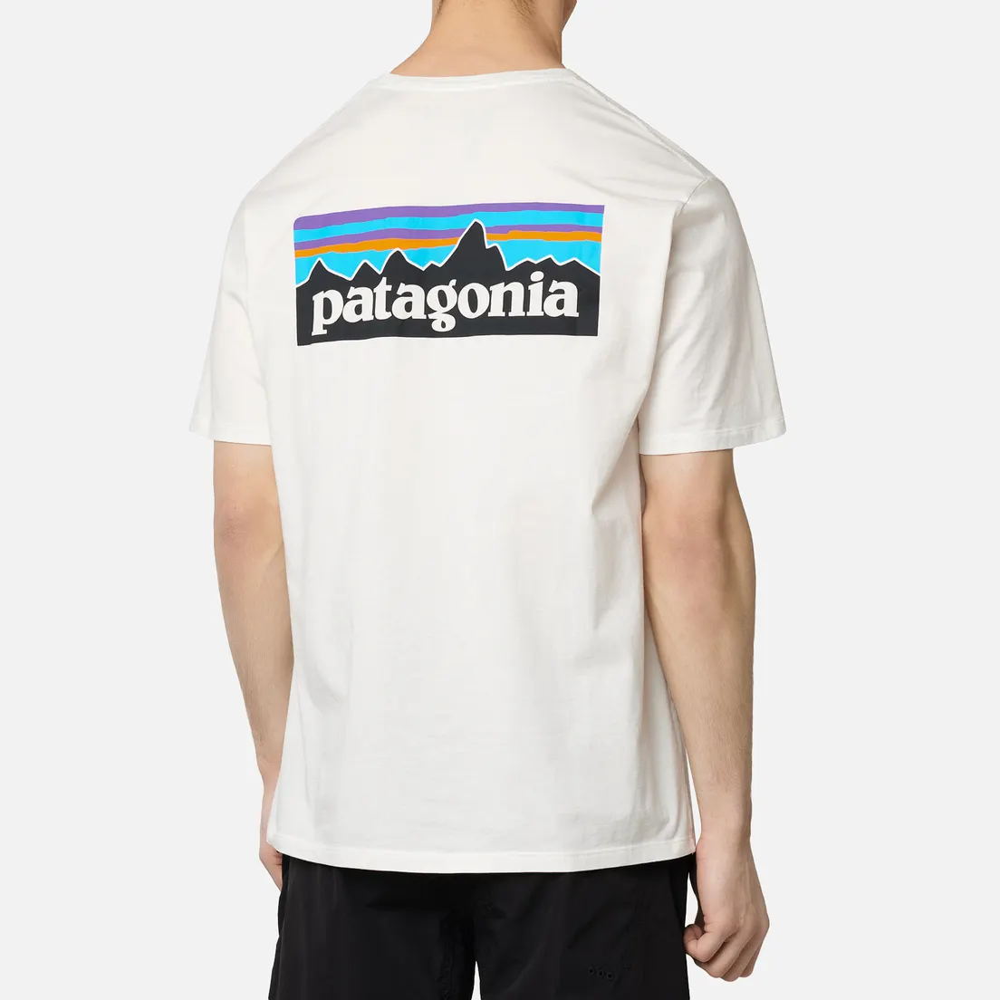 Patagonia Мужская футболка P-6 Logo Organic