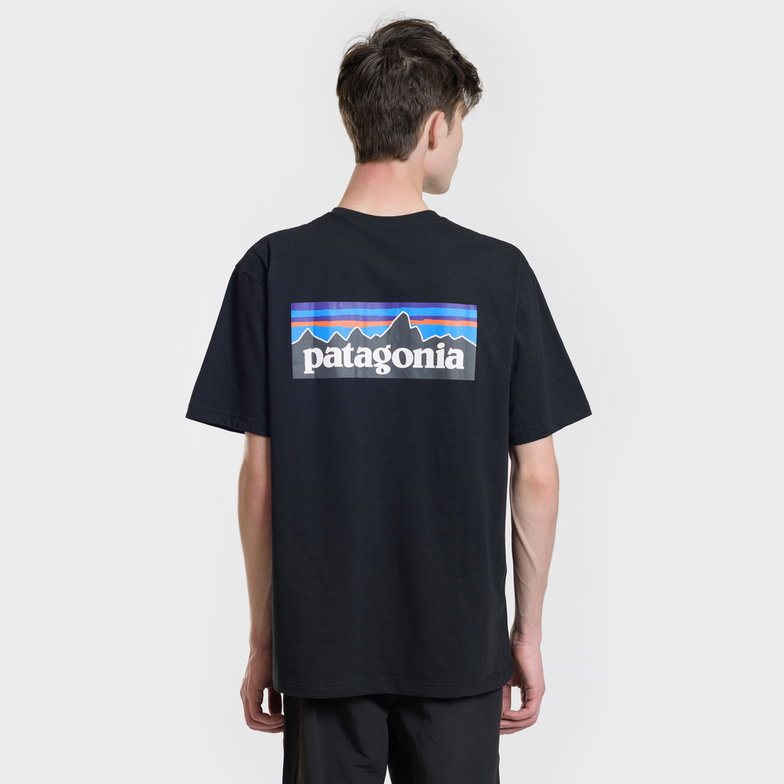 Patagonia Мужская футболка P-6 Logo Pocket