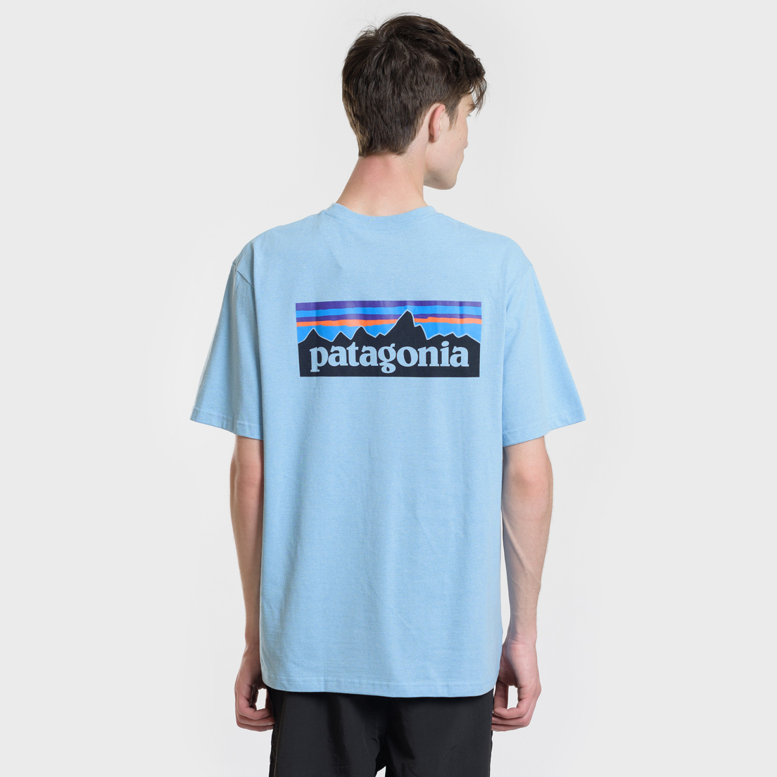 Patagonia Мужская футболка P-6 Logo Pocket Break Up
