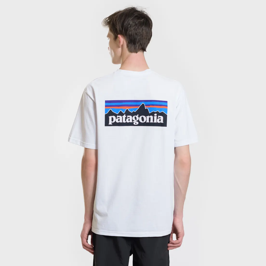 Patagonia Мужская футболка P-6 Logo