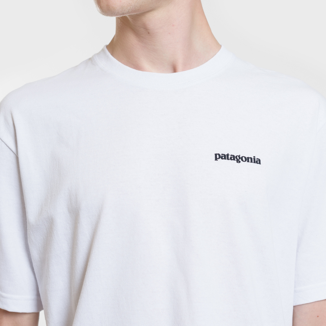 Patagonia Мужская футболка P-6 Logo