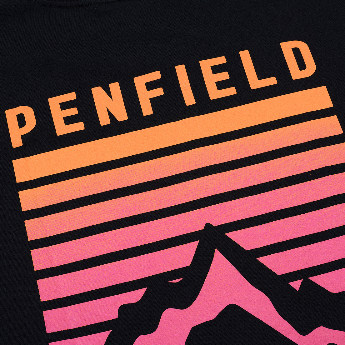 Penfield Мужская футболка Caputo Graphic