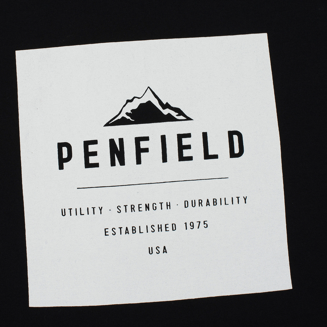 Penfield Мужская футболка Kemp