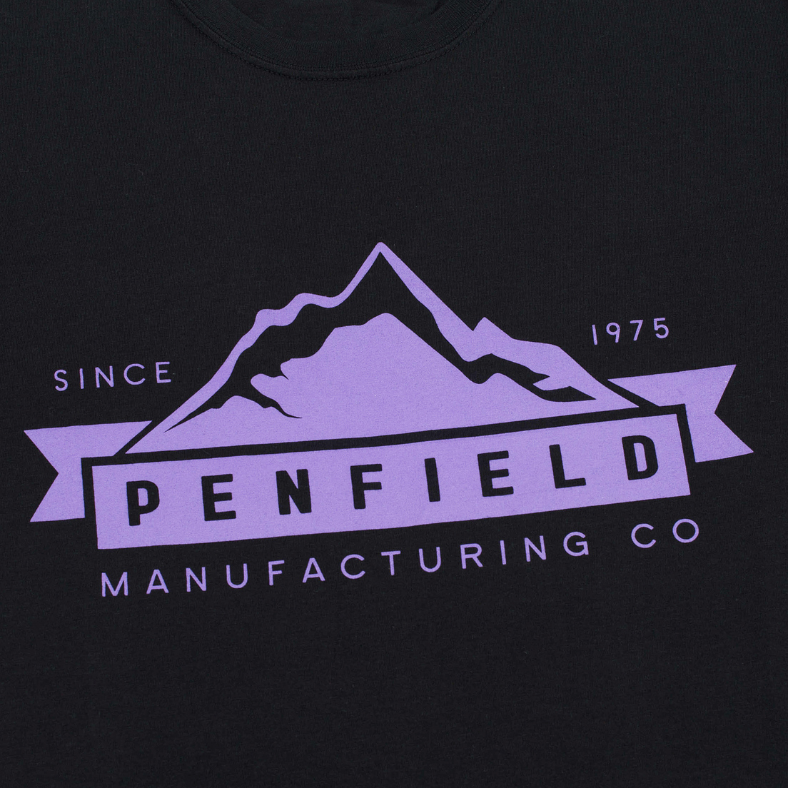 Penfield Мужская футболка Mountain Logo