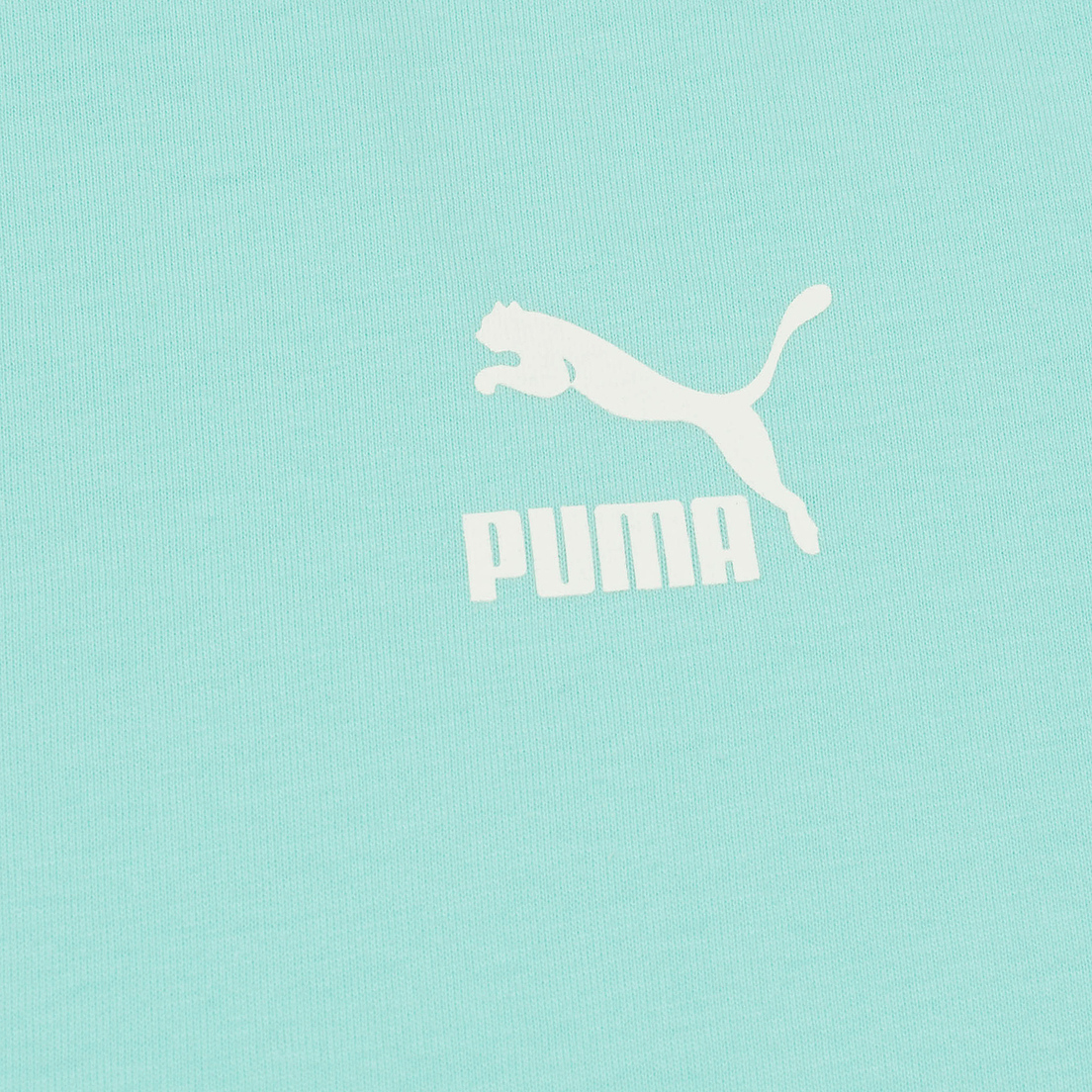 Puma Мужская футболка Easter Pack FM
