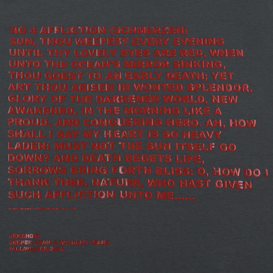 Rick Owens DRKSHDW Мужская футболка Jumbo Affliction Print