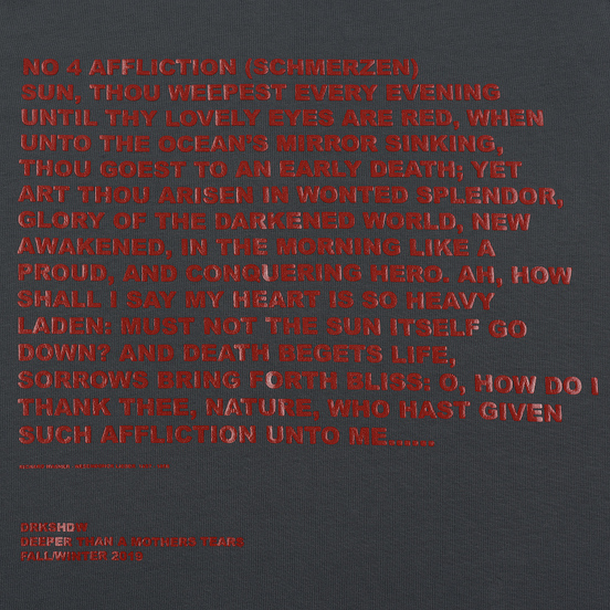 Мужская футболка Rick Owens DRKSHDW Jumbo Affliction Print Flint/Cherry