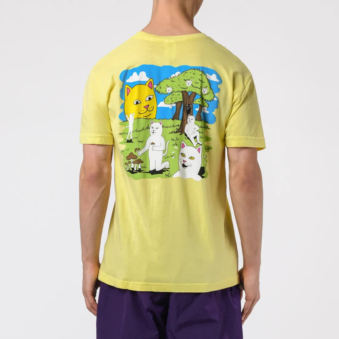 RIPNDIP Мужская футболка Park Day